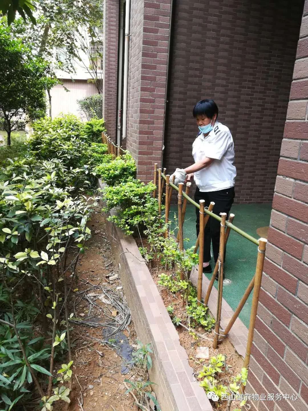 西山御府物业服务中心工作简报