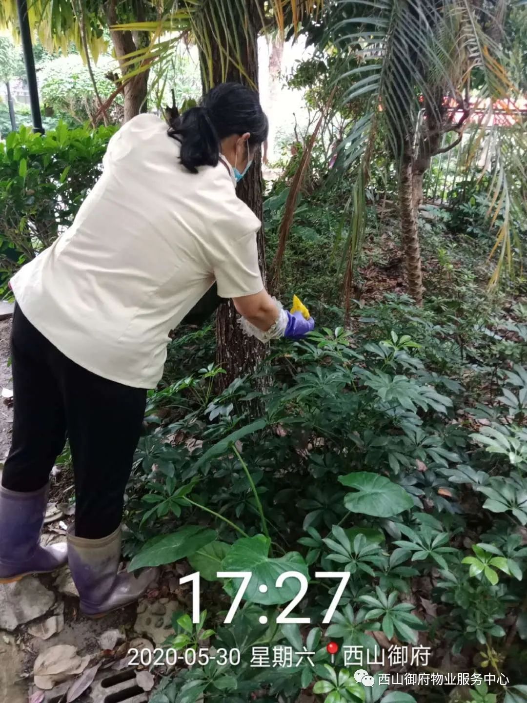 西山御府物业服务中心工作简报