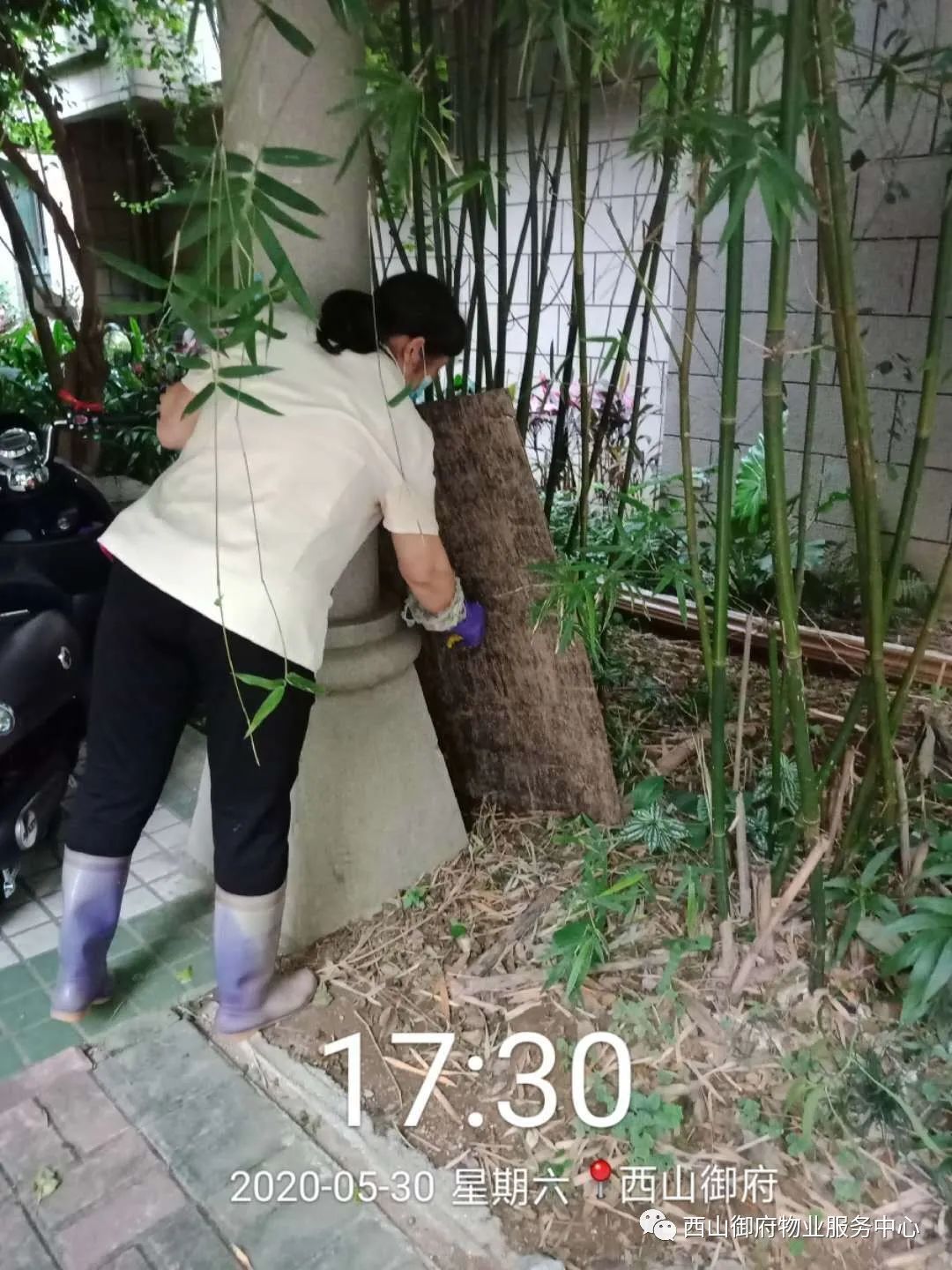 西山御府物业服务中心工作简报
