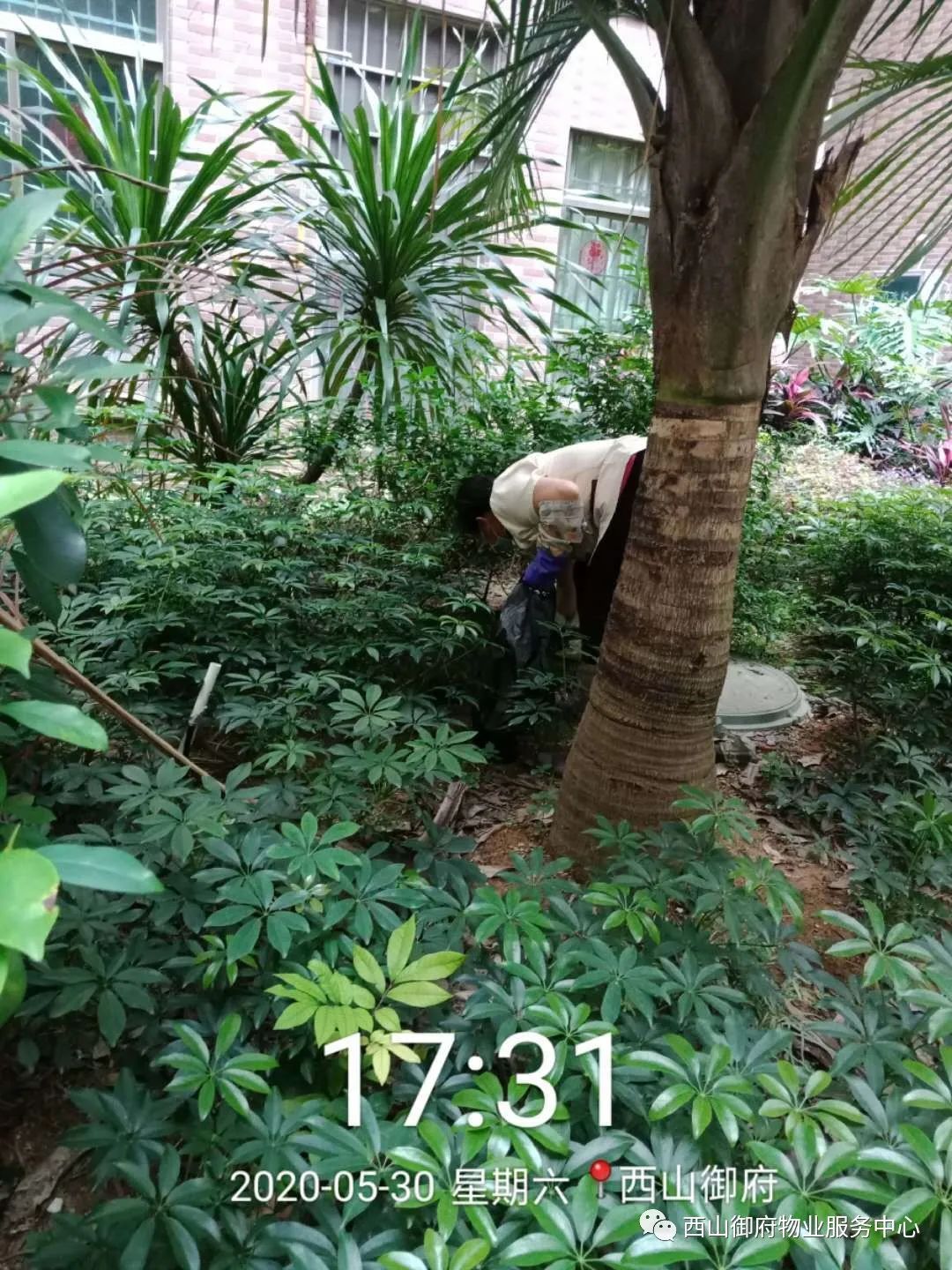 西山御府物业服务中心工作简报
