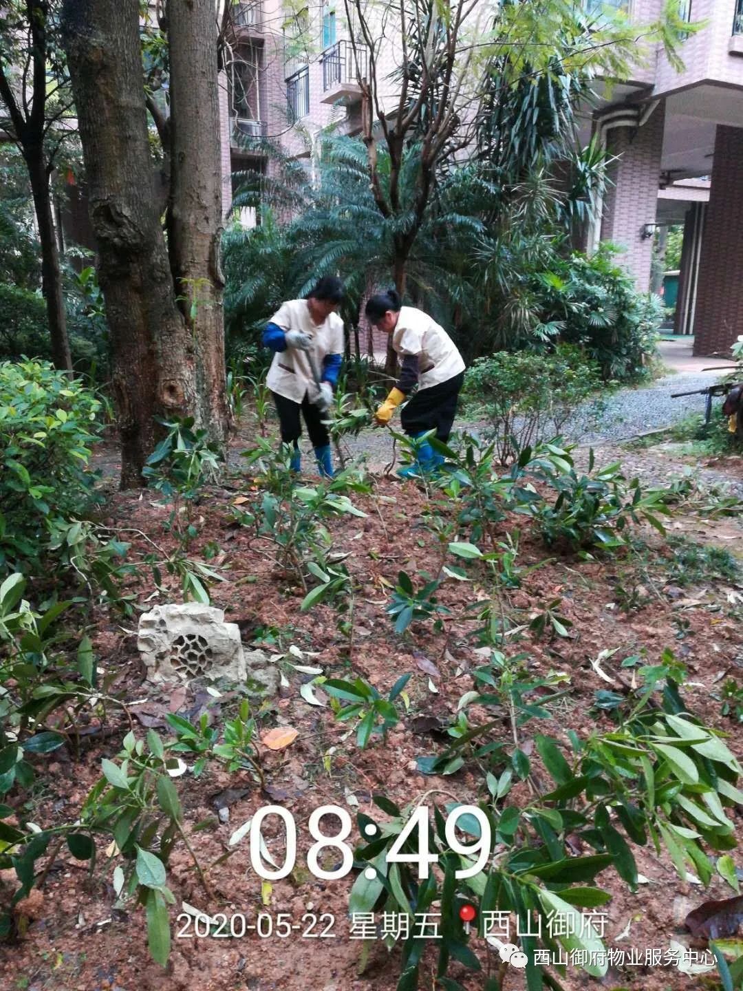 西山御府物业服务中心工作简报