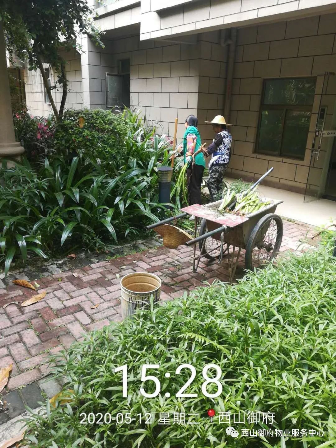西山御府物业服务中心工作简报