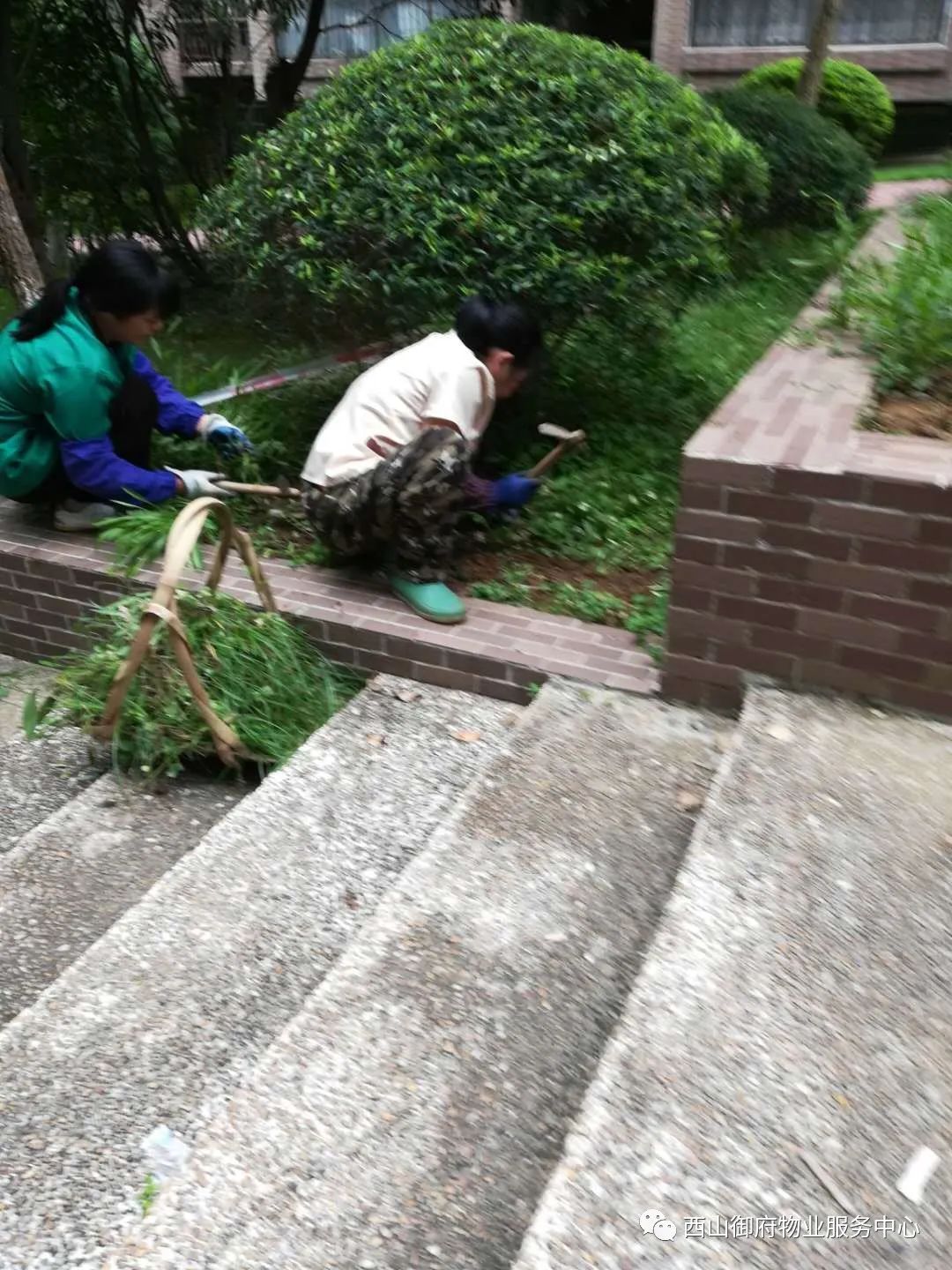 西山御府物业服务中心工作简报