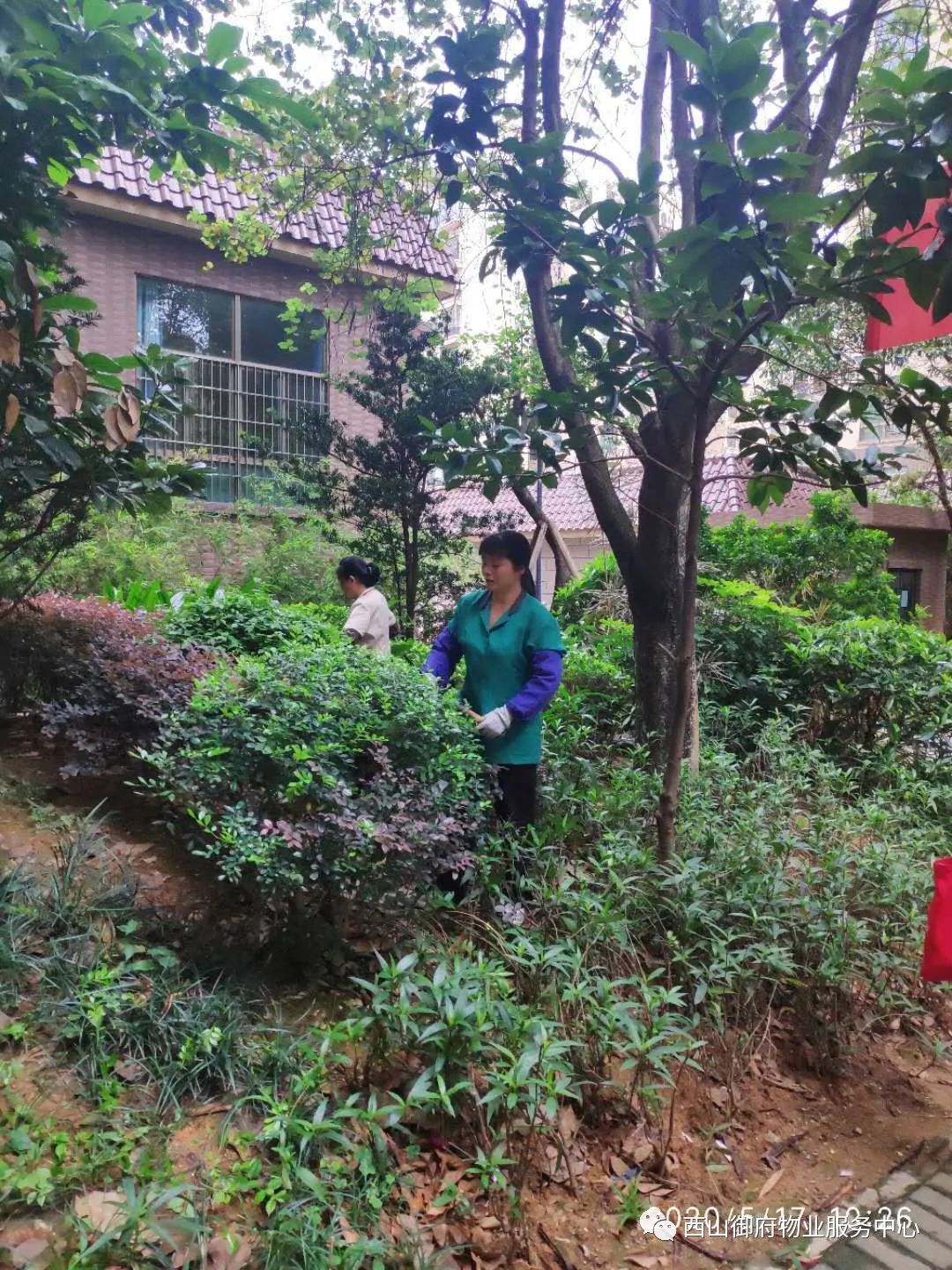 西山御府物业服务中心工作简报