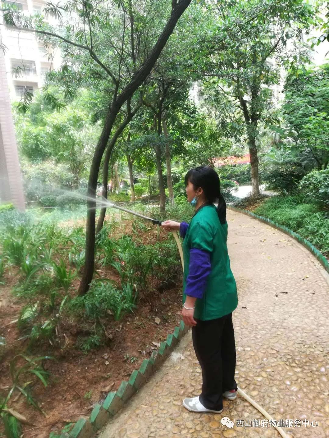 西山御府物业服务中心工作简报