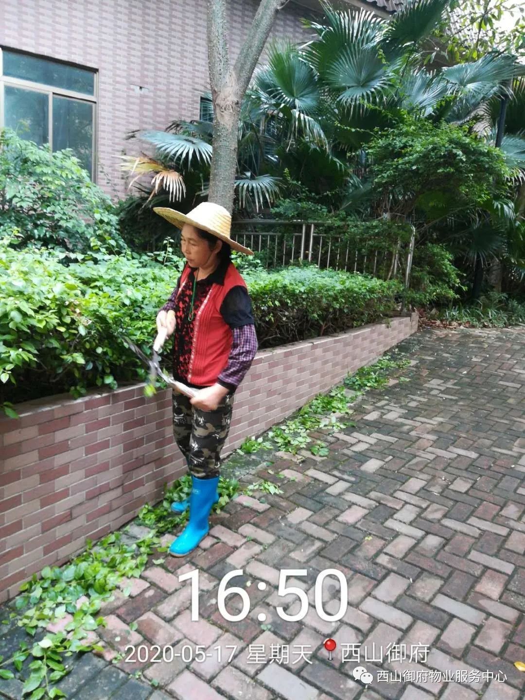 西山御府物业服务中心工作简报