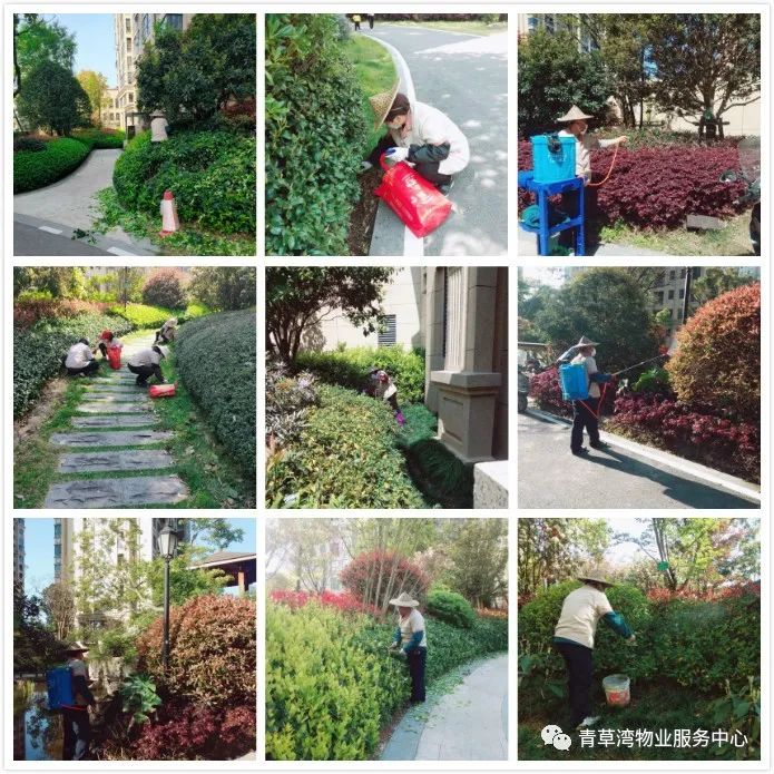 青草湾物业服务中心工作简报（2020年4月）