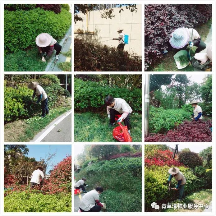 青草湾物业服务中心工作简报（2020年4月）