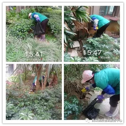 西山御府物业服务中心工作简报（2020年4月）