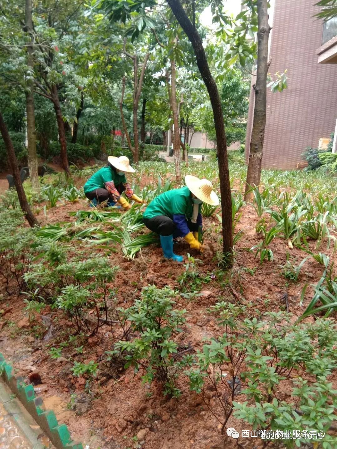 西山御府物业服务中心工作简报（2020年4月）