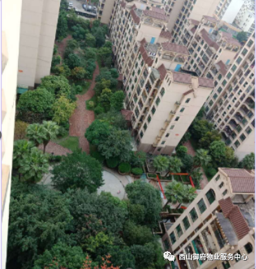 西山御府物业服务中心工作简报