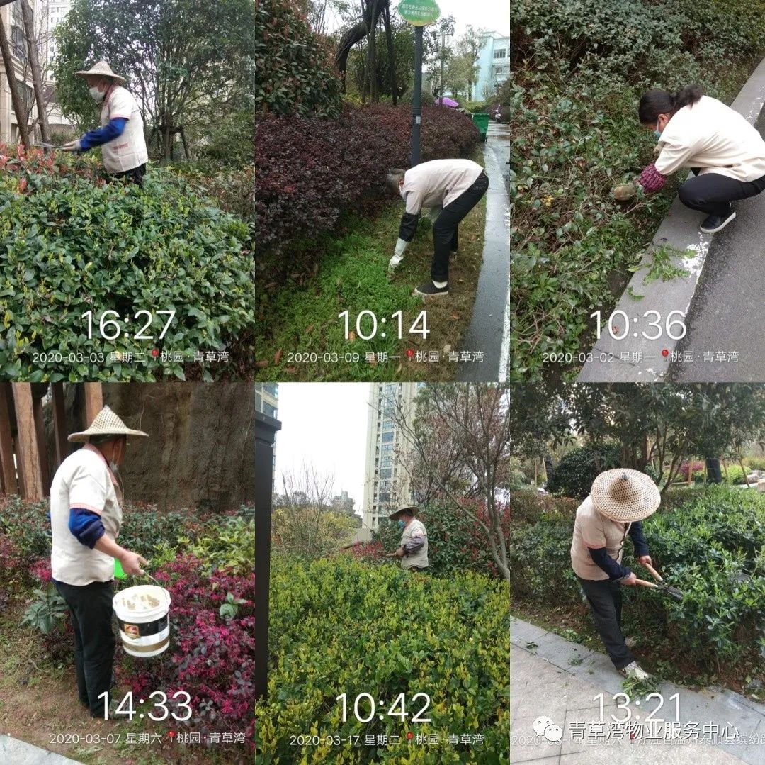 青草湾物业服务中心工作简报（2020年3月）