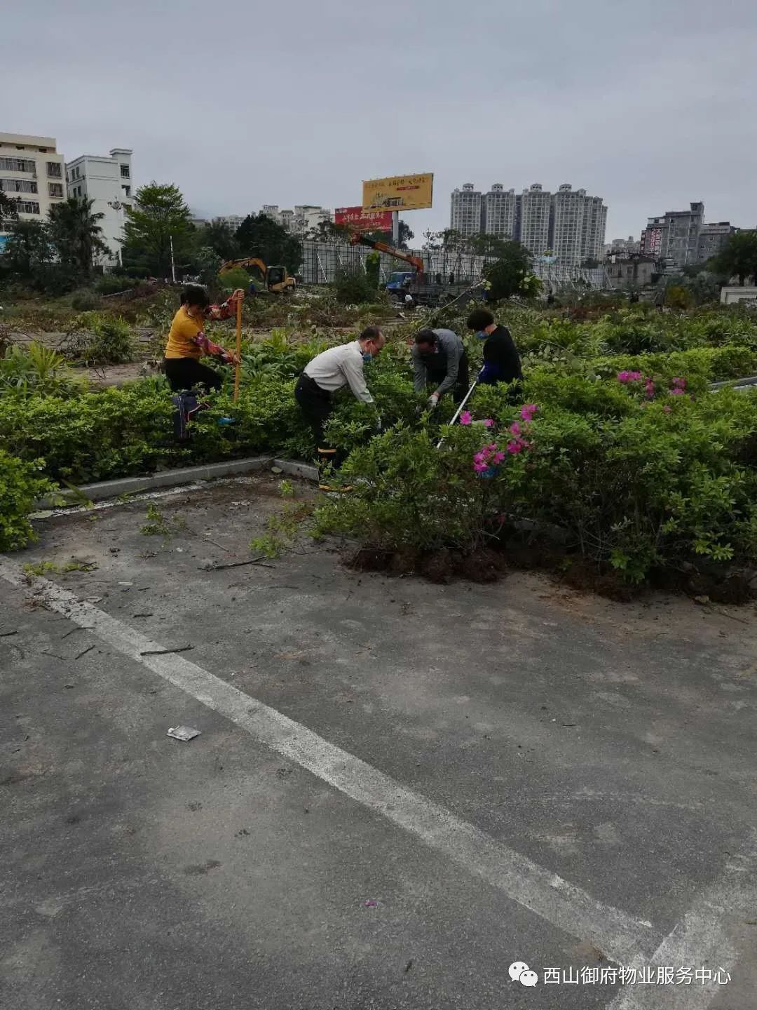 西山御府物业服务中心工作简报（2020年3月）