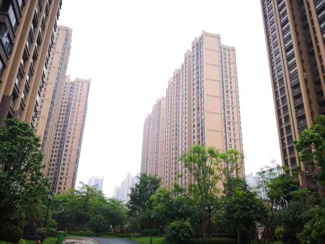 凯旋国际物业服务中心工作简报（2020年1月）