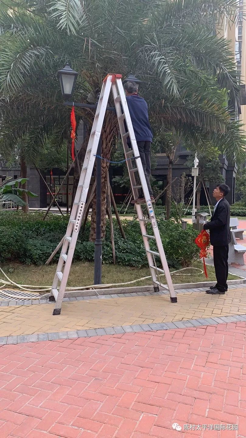 太平洋国际花园服务中心工作简报（2020年1月）