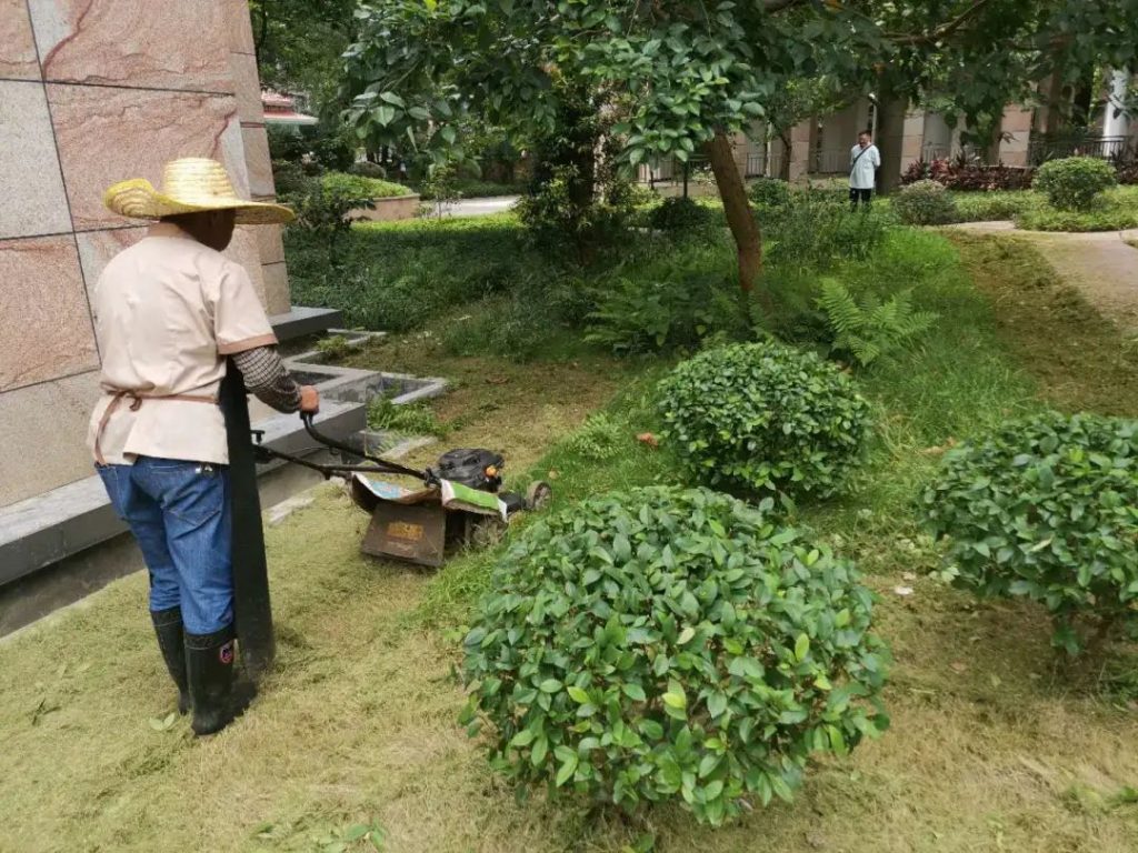 防暑降温，金匙在行动