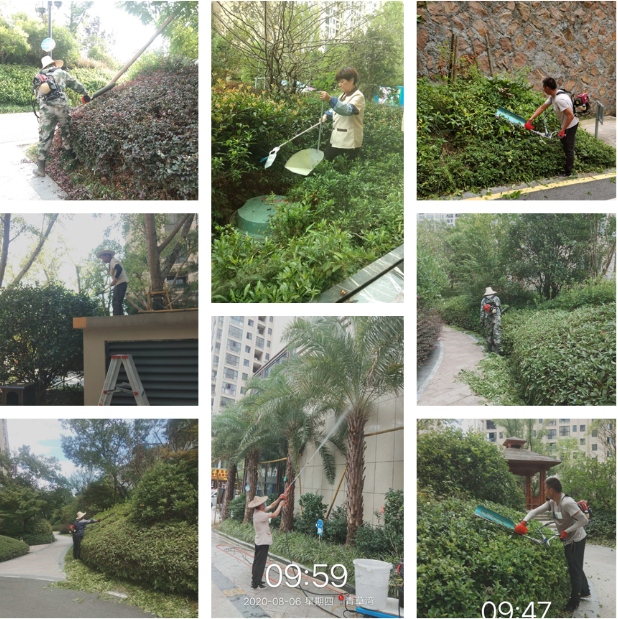 青草湾物业服务中心工作简报（2020年8月）