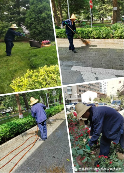 甘肃省委办公大楼项目2020年8月份工作简报